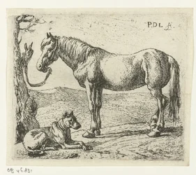 Paard en hond in een weide
