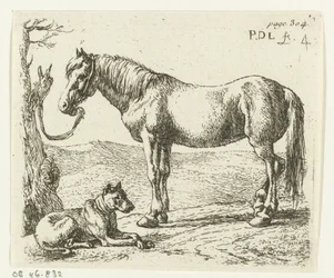 Paard en hond in een weide