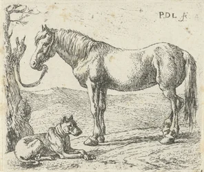 Paard en hond in een weide