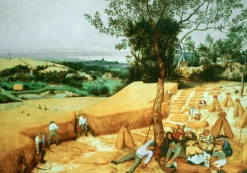 De oogsters, 1565