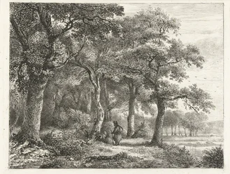 Boslandschap met man met rugzak