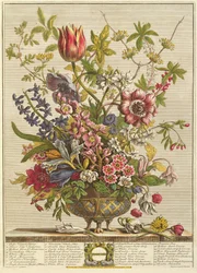 Februari, uit 
