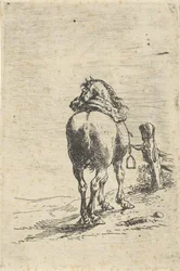 Gezadeld paard aan een paal