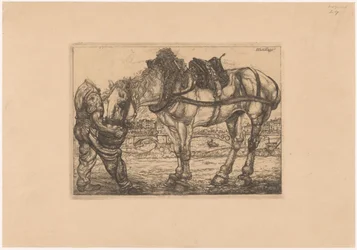 Man voert een paard uit een emmer