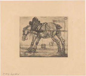 Trekpaard met haverzak