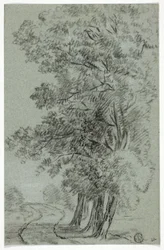 Weg langs bomen