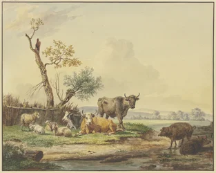 Vee in een weide bij een omheining, rechts twee varkens