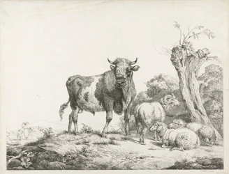 Een stier, een ram en twee liggende schapen bij een knotwilg