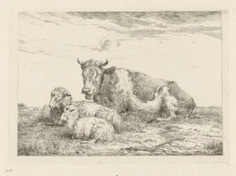 Slapende koe met schaap en lammetje