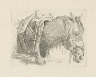 Studie van een paardenkop