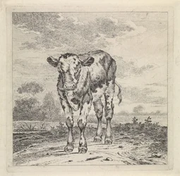 Landschap met kalf