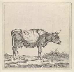 Landschap met koe aan waterkant