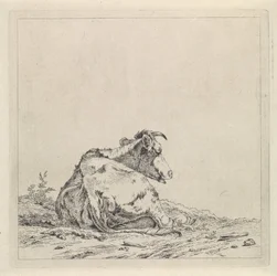Landschap met liggende koe