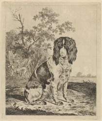 Zittende patrijshond