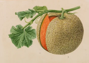 Originelen van publicaties over tuinbouw en boomteelt, 1878-1881