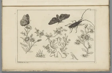 Drie bloementakken met vogels, vlinders en een insect