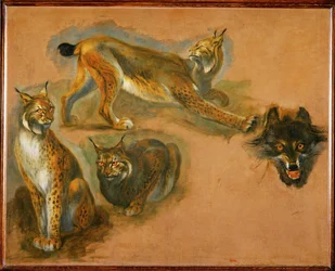 Een lynx, kop van een wolf (schilderij op doek)