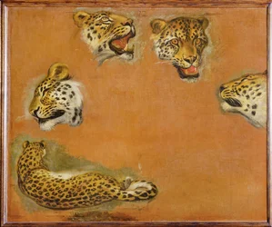 Schetsen van een panter (schilderij op doek)