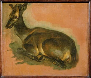 Hert, liggend (schilderij op doek)
