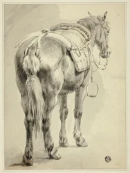 Zadelpaard