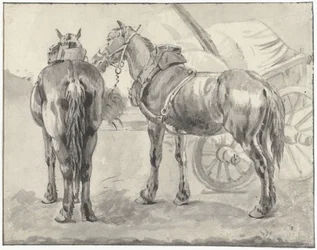 Twee tuigpaarden bij een kar