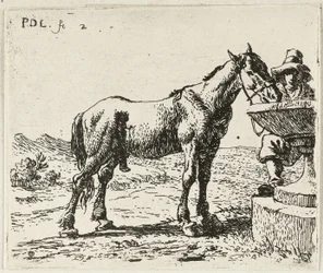 Drinkend paard