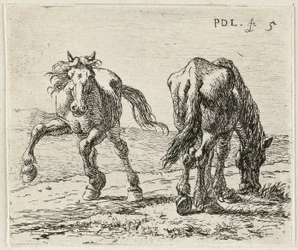 German: Zwei Pferde auf einer Weide
French: Les deux chevaux au pâturage
Dutch: Twee paarden in een weide