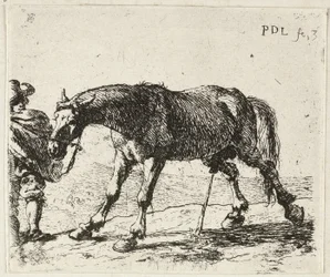 Plassend paard