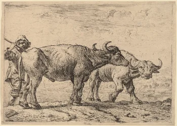 Twee Buffels en een Herder