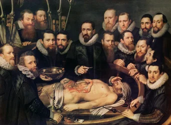 De Anatomische Les van Dr. Willem van der Meer in Delft