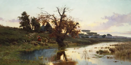 Kudde bij zonsondergang