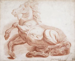 Een gevallen paard