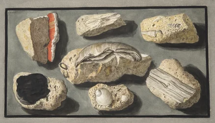 Specimens van Tufa gevonden in en rond Herculaneum, Plaat XXXXV, uit 
