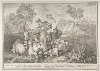 Jacob die de kudde van Laban hoedt
