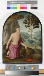 Sint Hiëronymus in de Wildernis