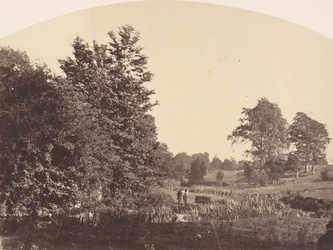 De Bosbeek