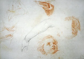 Studies voor de extase van St. Catharina van Siena