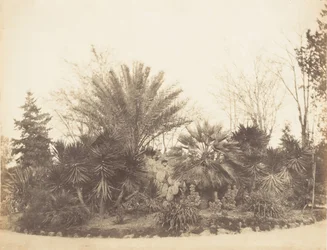 Pincian Tuin, Rome, 1853-56
