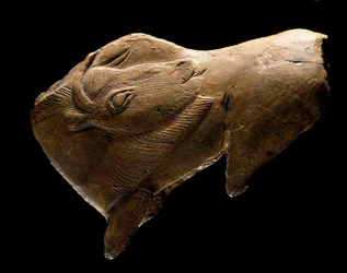 Bizon die opstaat (Beeldhouwwerk in rendierhout uit de schuilplaats van de Madeleine in Dordogne. 11000 v.Chr.)