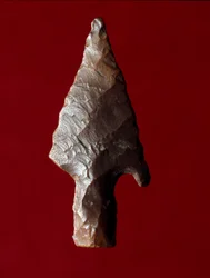 Egyptische oudheid: pijlpunten van de site van Fayoum (Fayyum of Fayum) in Egypte. Predynastieke periode. Verona, Museo Civico di Storia Naturale, Italië