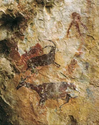 Jachtscène met een hert en een steenbok (25000-15000 v.Chr.). Boven-Paleolithicum. El Perello, grot van La Cabra Freixet.
