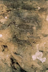 Mesolithische rotstekeningen: Herten en geiten (8000-7000 v.Chr.), Spanje, Bicorp, La Arana-grot