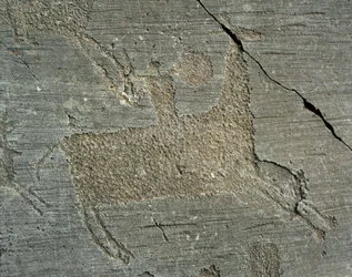 Prehistorie, beschaving van de Camunni, rotskunst: gegraveerde rots met een krijger te paard met een schild. Periode tussen het Neolithicum en de Bronstijd. Capo di Ponte, Parco nazionale delle incisioni rupestri di Naquane, Valcamonica, Val Camonica