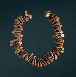 Prehistorie: bottenketting uit de grot van Polesine, Veneto