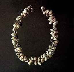 Prehistorie, Stenen Tijdperk: ketting van schelpen uit de grot van Polesine, Venetië. Gemiddeld neolithicum