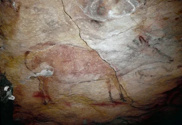 Prehistorie: een hert rotsschildering van het Boven-Paleolithicum (Magdalenien) (tussen 16500 en 14000 jaar geleden) Steentijd Grot van Altamira, Santander, Spanje