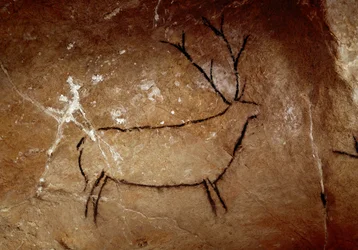 Prehistorie: een hert rotsschildering van het Boven-Paleolithicum (Magdalenien)