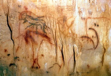 Prehistorie: een gewonde man