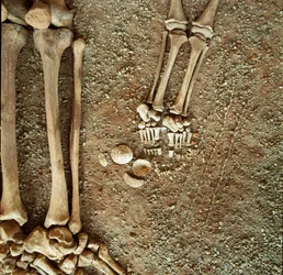 Prehistorie: dubbele begrafenis van volwassenen en kinderen. Detailweergave van de grafgiften: aan de voeten van het kind drie eekhoornstaarten, schelpen en stenen uit de grot Arene Candide (Finale Ligure), Ligurië. Mesolithicum, 7000-6000 v.Chr. Genua