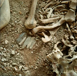 Prehistorie: dubbele begrafenis van volwassenen en kinderen (detail)